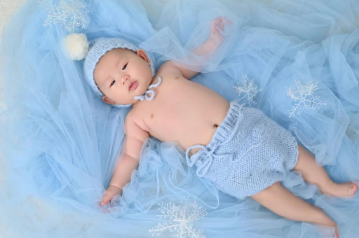 昌都宝宝树怎么样 昌都宝宝树怎么样